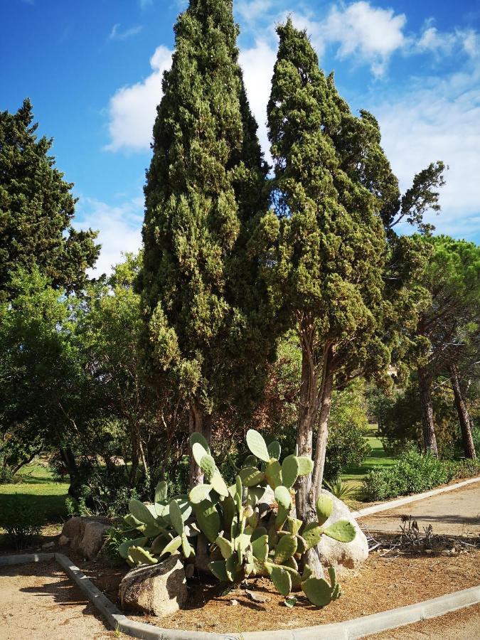 Residence Cala Sultana -Baie Santa Giulia - Rez Jardin 1Ere Ligne Porto-Vecchio  Kültér fotó