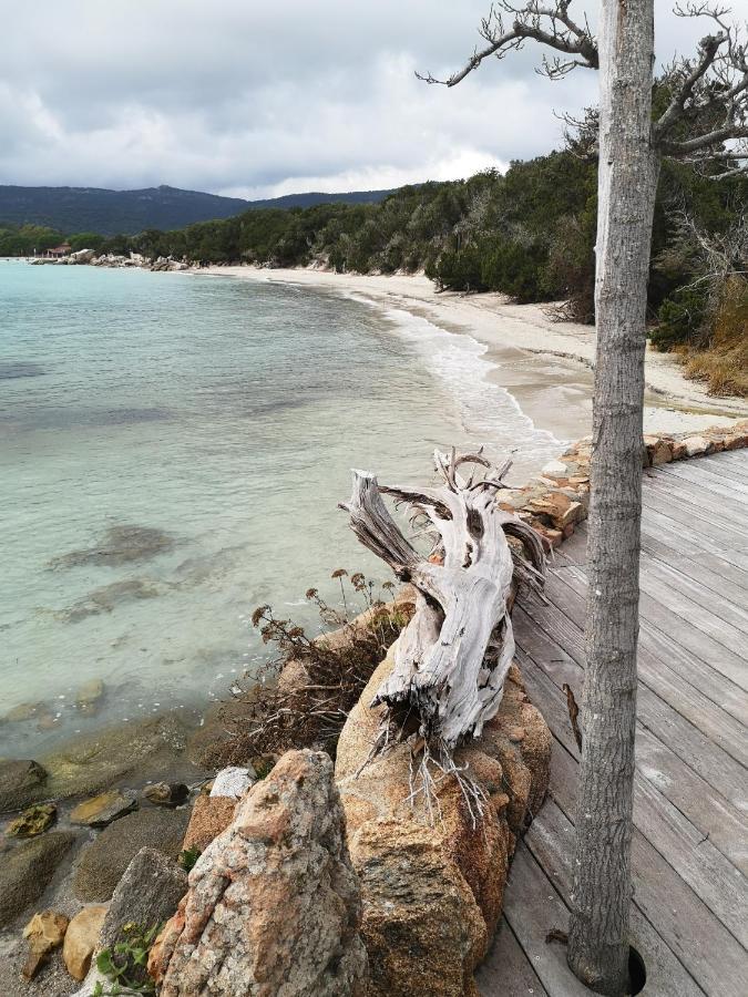 Residence Cala Sultana -Baie Santa Giulia - Rez Jardin 1Ere Ligne Porto-Vecchio  Kültér fotó