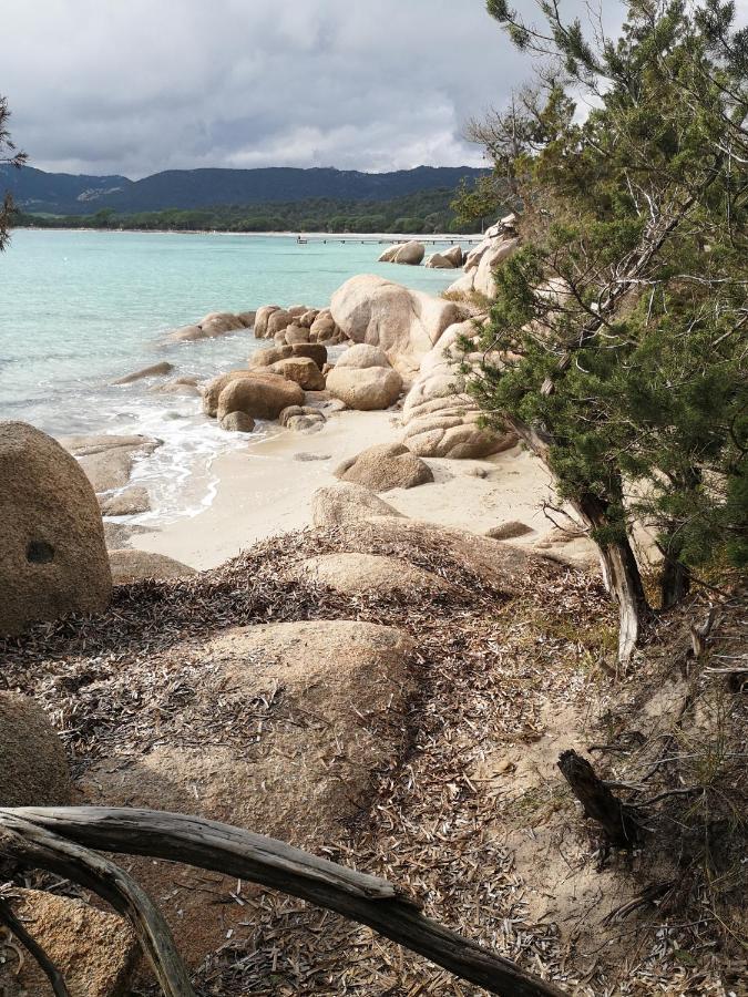 Residence Cala Sultana -Baie Santa Giulia - Rez Jardin 1Ere Ligne Porto-Vecchio  Kültér fotó