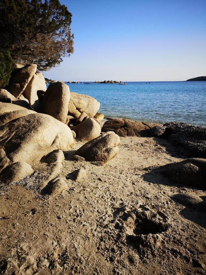 Residence Cala Sultana -Baie Santa Giulia - Rez Jardin 1Ere Ligne Porto-Vecchio  Kültér fotó
